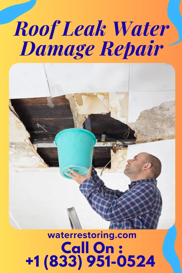 Roof Leak Water Damage Repair in Harrold, SD